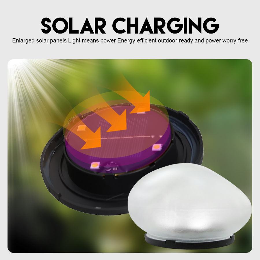 Solar Decorative Lamp Frosted  - Renewable Energy House review and price